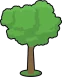 tree26