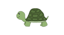 turtle-300 turtle-300