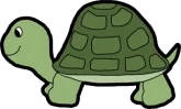 turtle sm