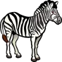 zebra-222